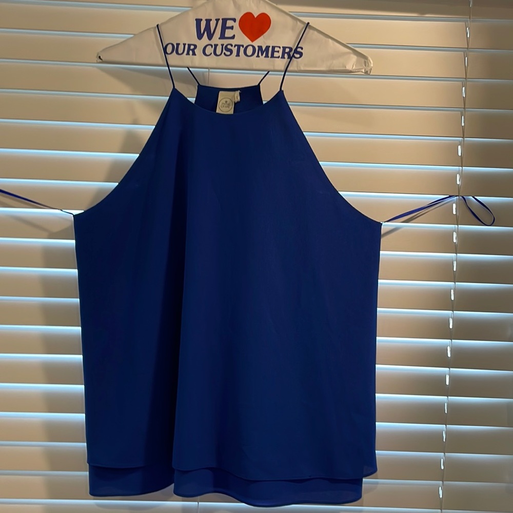 Royal blue blouse